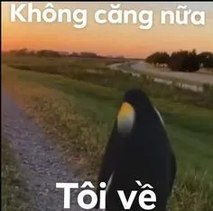 Meme đơn xin nghỉ việc cáo từ đầy hài hước khiến bạn bè không thể nhịn cười