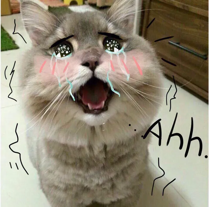 Những chú mèo con khóc thật dễ thương, meme này sẽ khiến trái tim bạn tan chảy.