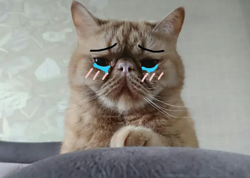 Đôi khi khóc cũng có thể tạo nên nụ cười. Khám phá meme này ngay!