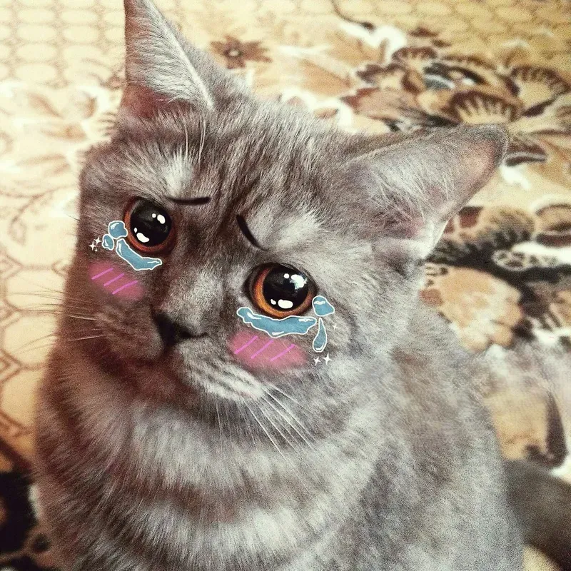 Mèo khóc và quả chuối kết hợp khiến meme này vừa ngộ nghĩnh vừa hài hước.