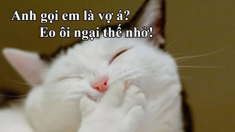 Hình nền meme hài hước sẽ là điểm nhấn tạo nên không gian đầy vui vẻ cho bạn.