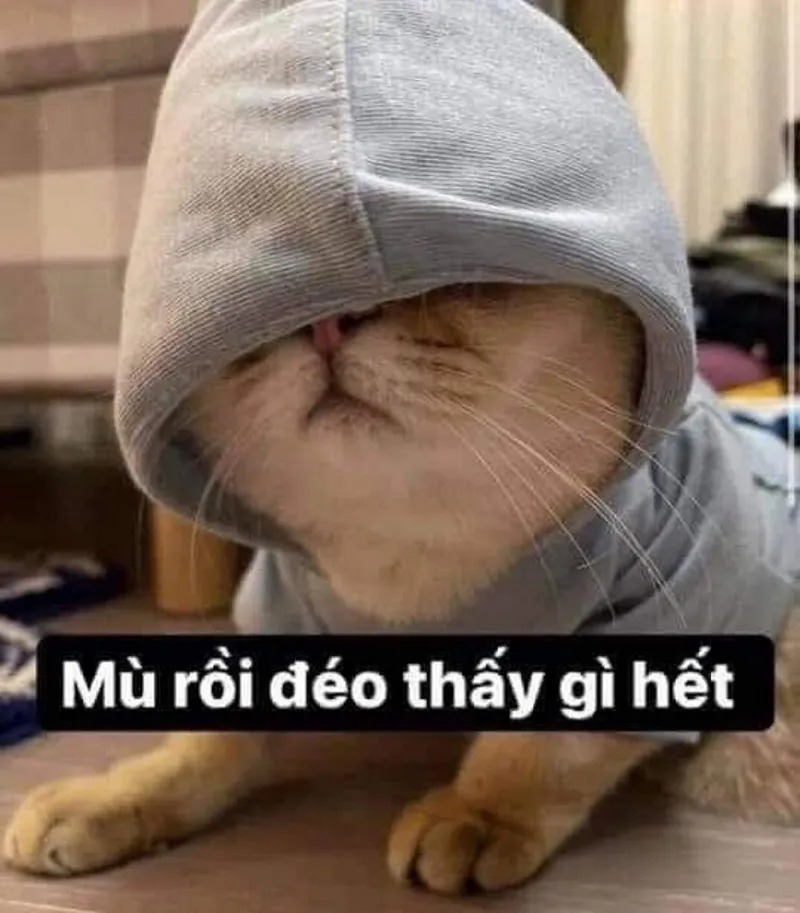 Người que cute ảnh meme hài mang đến những giây phút dễ thương và đầy hài hước.