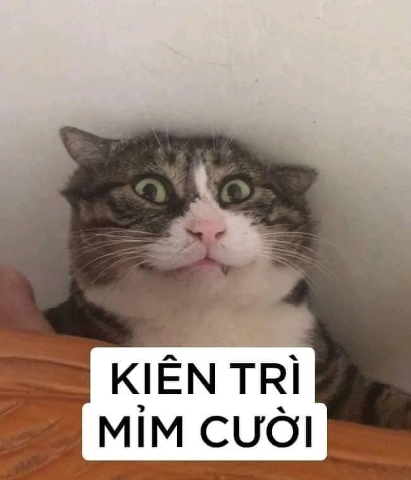 Hài meme luôn là lựa chọn hoàn hảo để tạo ra những khoảnh khắc sảng khoái và thư giãn.