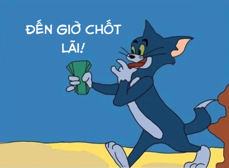 Hình meme hài hước là những bức ảnh dễ dàng thu hút sự chú ý và tạo nên không khí vui tươi.
