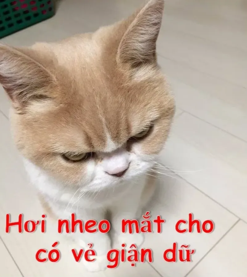 Hài hước ảnh người que meme sẽ khiến bạn không thể ngừng cười với sự đáng yêu và hài hước.