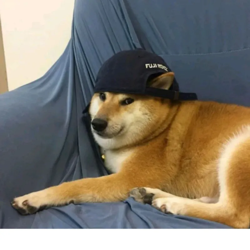 Meme cheems chỉ tay là trào lưu vui nhộn, làm khuấy động cộng đồng mạng với sự sáng tạo.