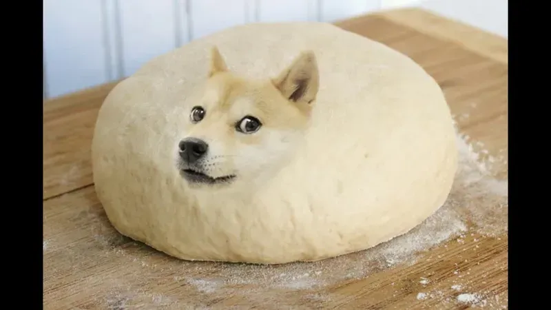 Những ảnh meme chó Shiba luôn khiến bạn phải bật cười vì sự dễ thương và hài hước.