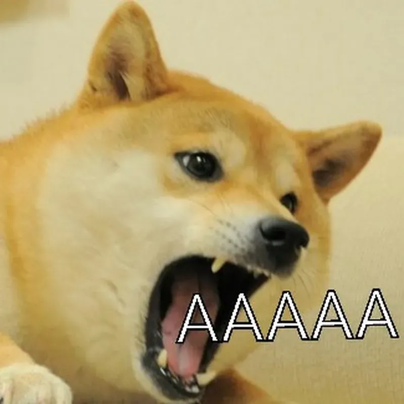 Chó Shiba cơ bắp trong meme mang đến sự ngầu lòi và dễ thương khó cưỡng.