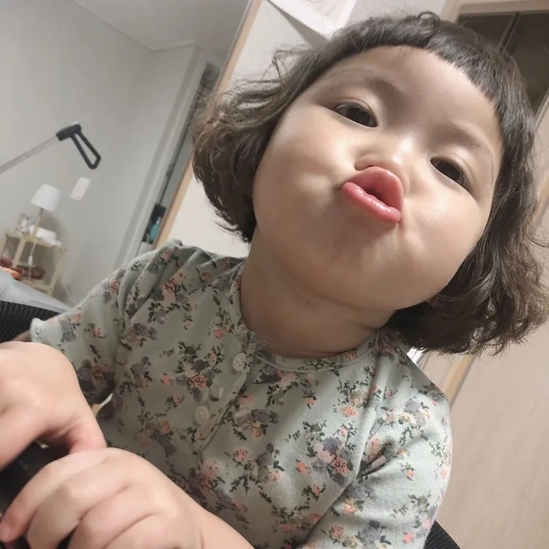 Những hình ảnh meme mỏ hỗn khiến bạn không thể nhịn cười