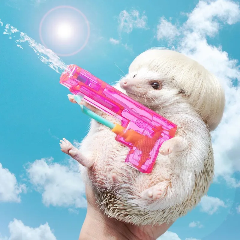 Meme chuột hamster hài hước làm bừng sáng mọi không gian với những hành động đáng yêu.