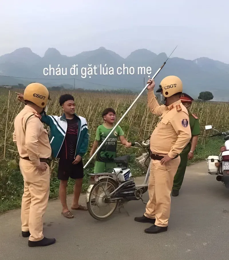 Công an giao thông meme với những tình huống “dở khóc dở cười” trên đường.