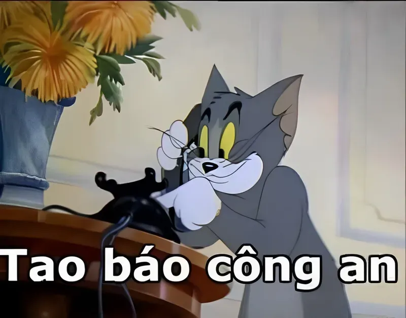 Khi mọi chuyện vượt quá tầm kiểm soát, công an bắt và meme ra đời.