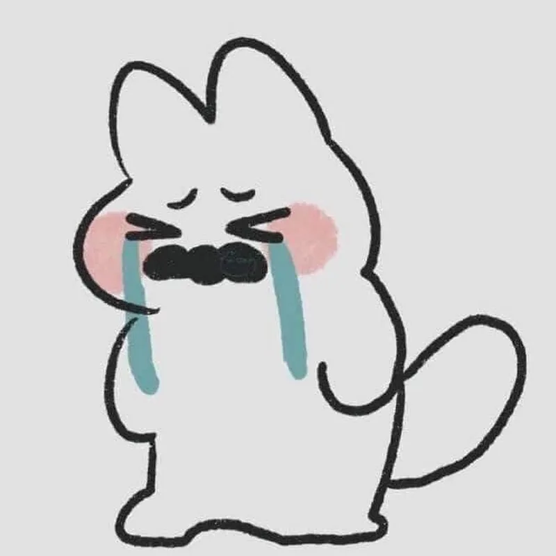 Mèo cry meme làm dậy sóng mạng xã hội với nét mặt khóc lóc dễ thương.