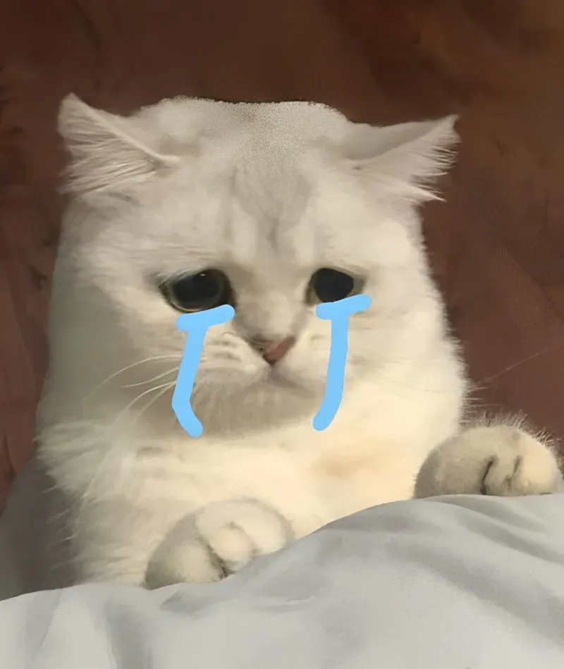 Khi mèo khóc cầm điện thoại, meme này sẽ khiến bạn không thể ngừng cười.