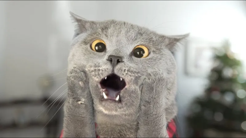 Meme cười ngượng là hình ảnh của những khoảnh khắc khó xử, nhưng lại rất dễ gây cười cho người xem.