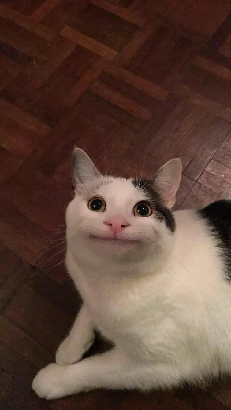 Gượng cười meme là những khoảnh khắc tạo cảm giác như bạn đang bị ép buộc cười, nhưng lại mang lại tiếng cười sảng khoái.