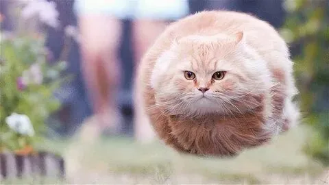 Biểu cảm đáng yêu pha lẫn hài hước của em bé trong meme này sẽ làm bạn bật cười