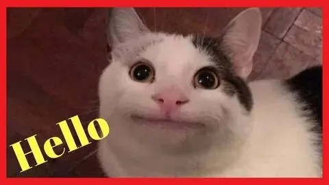Emoji hài hước này sẽ làm mọi tin nhắn của bạn thêm phần sinh động