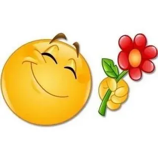 Trái tim đáng yêu kết hợp với meme mèo tặng hoa sẽ khiến mọi người tan chảy