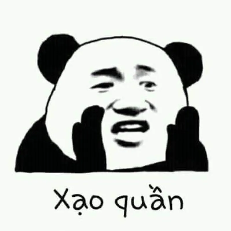 Đánh lộn meme mèo đánh nhau siêu hài, biểu cảm đáng yêu không thể bỏ qua