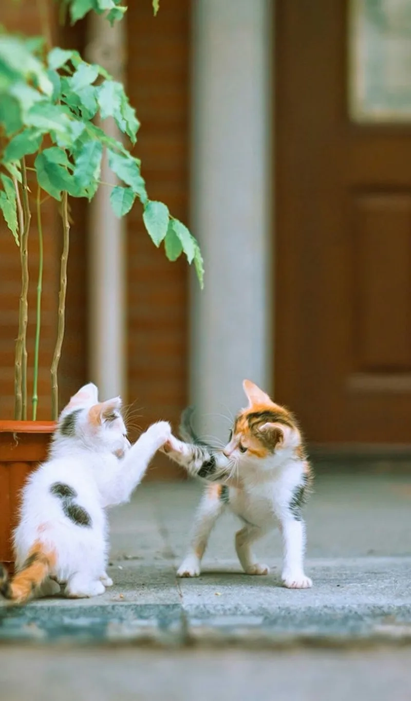 Meme đánh trống lảng mang đến những tình huống bất ngờ và đầy thú vị.