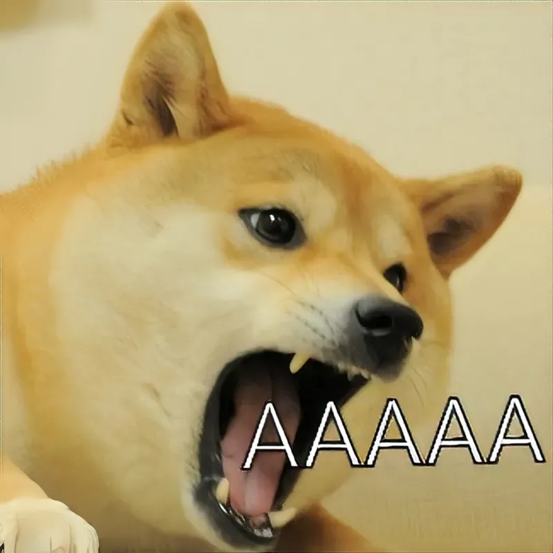 Dogs meme với những hình ảnh dễ thương và nội dung hài hước không giới hạn.