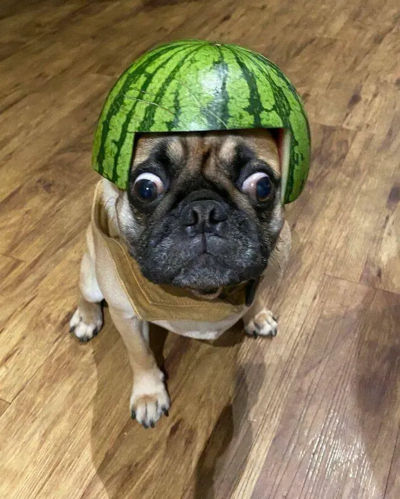 Biểu cảm mệt mỏi được thể hiện sinh động trong meme mắt thâm quầng.