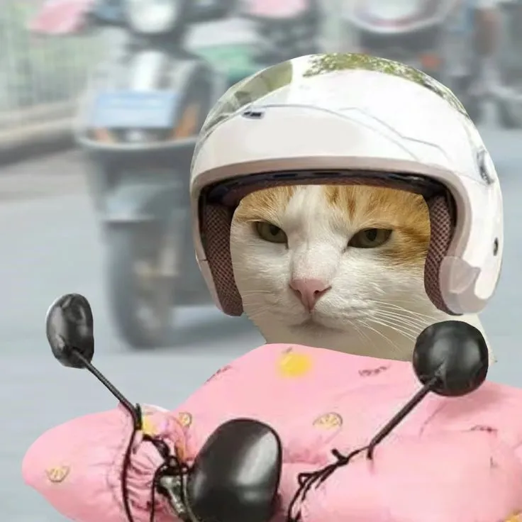 Meme chú bộ đội hài hước là cách tuyệt vời để kết nối mọi người