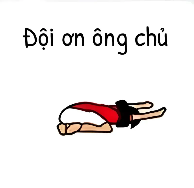 Meme quần nè đội đi, lời mời hài hước cho mọi tình huống thú vị.