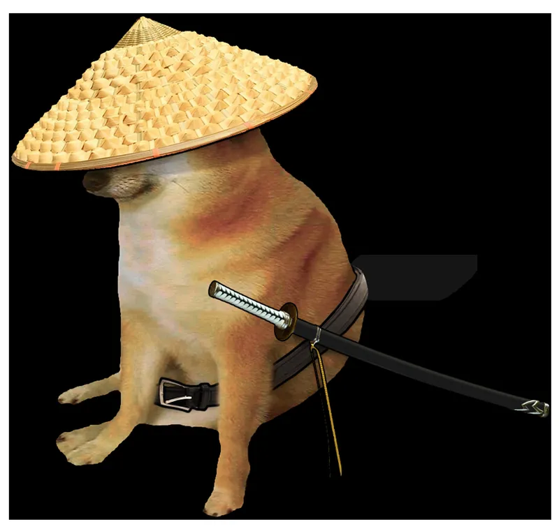 Meme bonk dog là những tình huống hài hước khi chó gặp phải sự kiện bất ngờ.