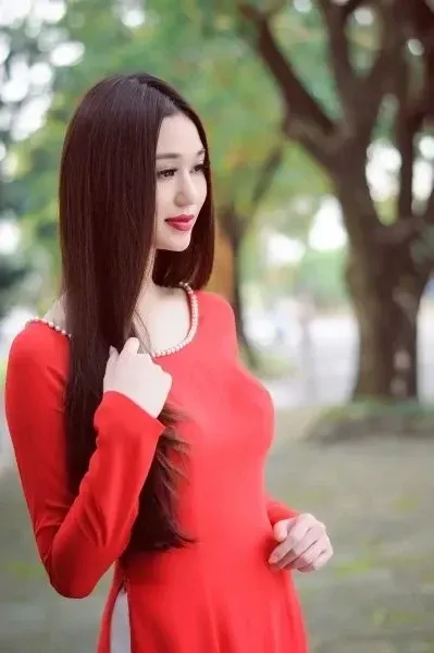 hai mái dài