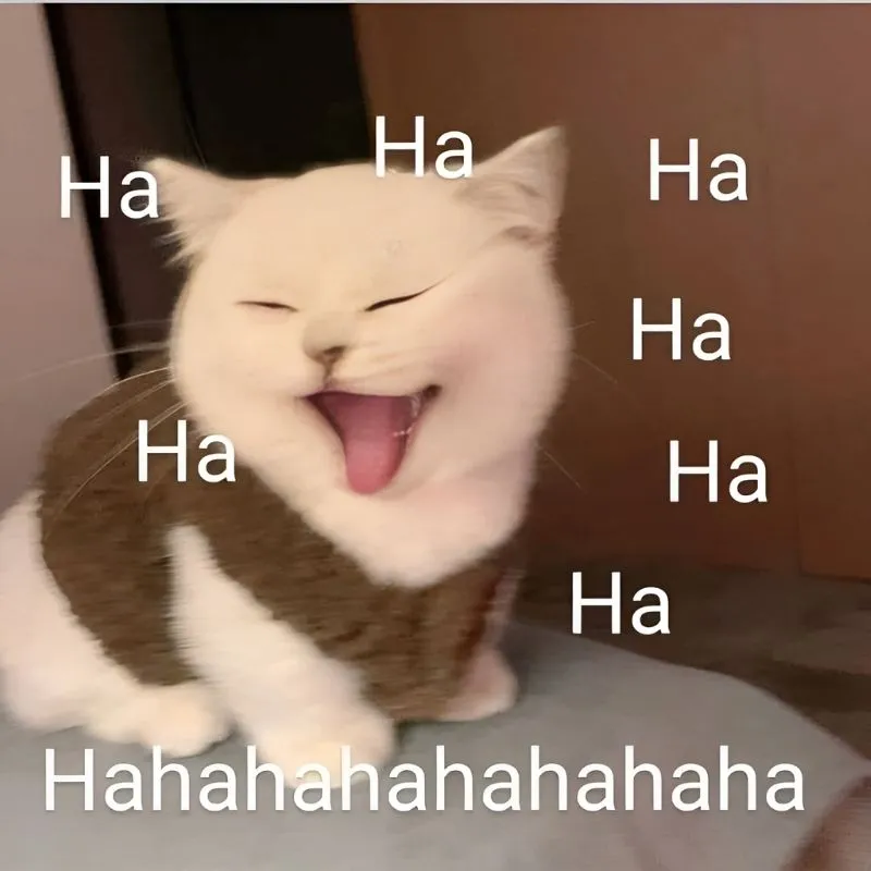 Meme thể hiện sự từ chối nhưng theo cách rất vui nhộn.