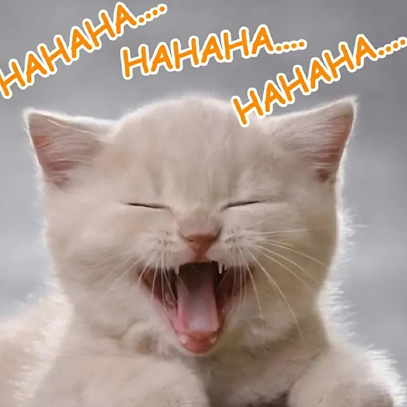 Meme vui nhộn, phù hợp cho những ai yêu thích trò đùa vui.