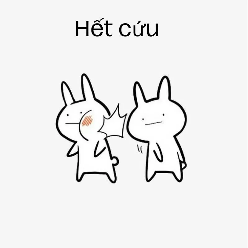 Meme đéo cứu mang đến một cái nhìn hài hước về những tình huống 