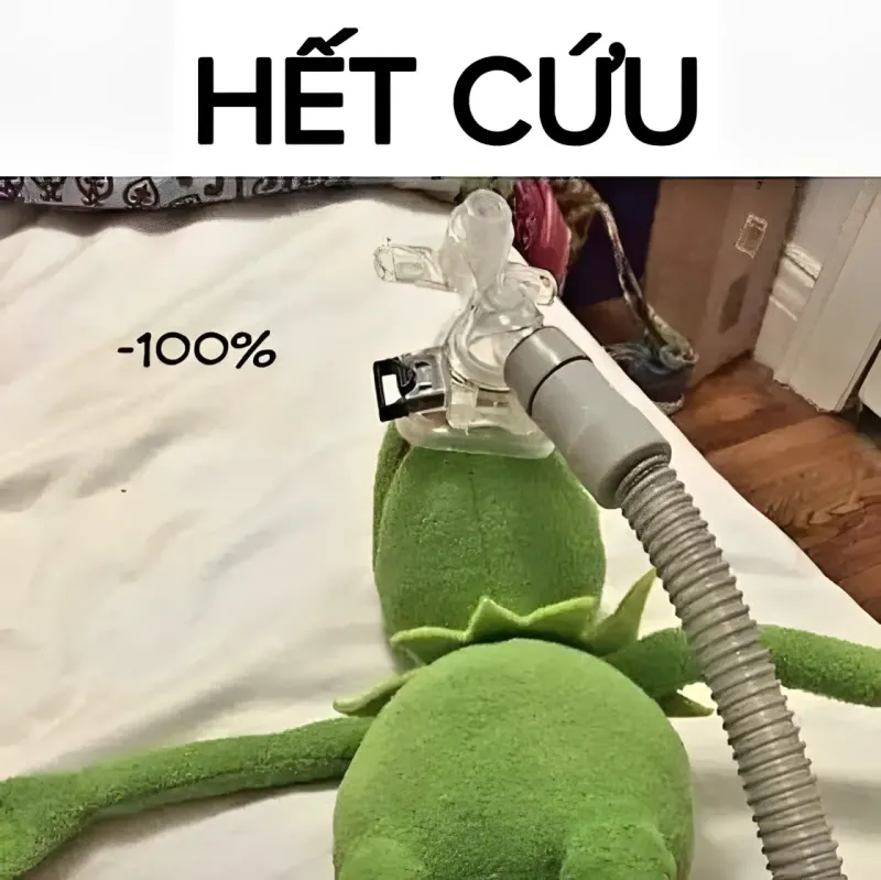 Khám phá nguồn gốc meme hết cứu, nơi những tình huống không thể cứu trở thành những hình ảnh mang tính giải trí và sáng tạo cực kỳ hấp dẫn.