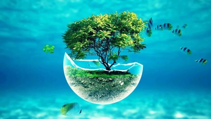 Bộ sưu tập hình nền máy tính meme khiến bạn không thể rời mắt 1