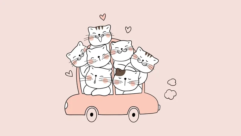 Hình nền meme mèo dễ thương mang lại không khí vui vẻ cho bạn.