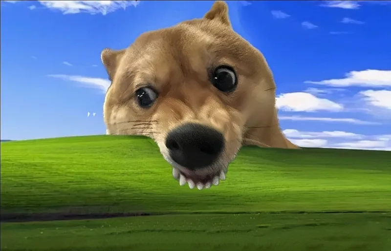 Hình nền con chó meme là cách để thêm yêu những người bạn bốn chân đáng yêu.