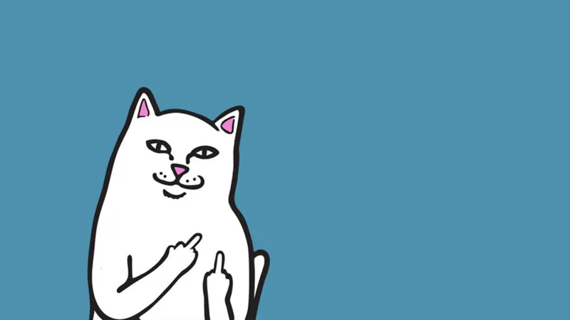 Thêm cá tính cho thiết bị với hình nền điện thoại meme mèo độc đáo.