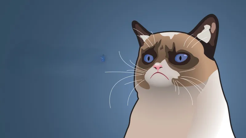 Hình nền mèo meme mang đến vẻ đáng yêu cùng nét hài hước đầy thú vị.