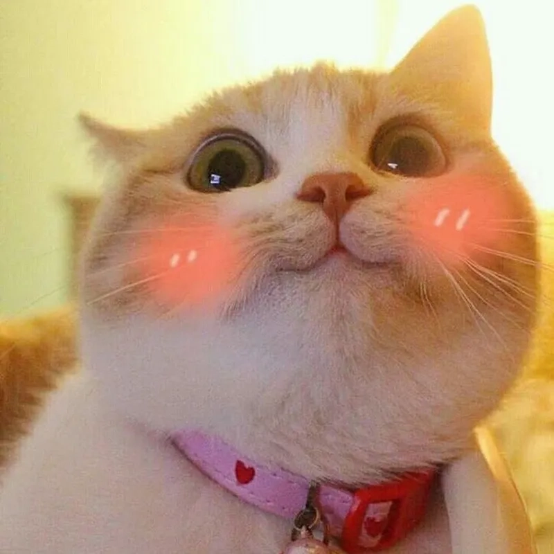 Với những mặt cười icon ảnh meme cute, bạn sẽ dễ dàng chia sẻ niềm vui và sự dễ thương.