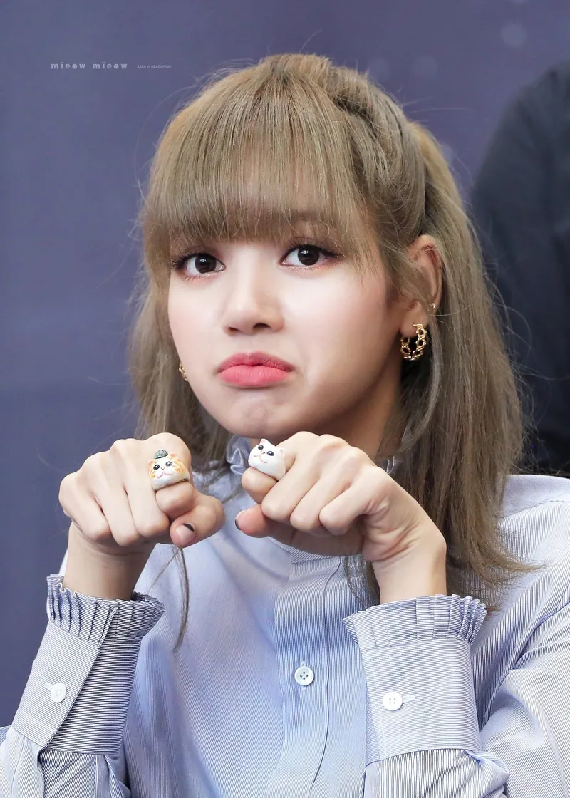 Cười thả ga với meme ảnh dìm Lisa cực kỳ hài hước và ngộ nghĩnh!