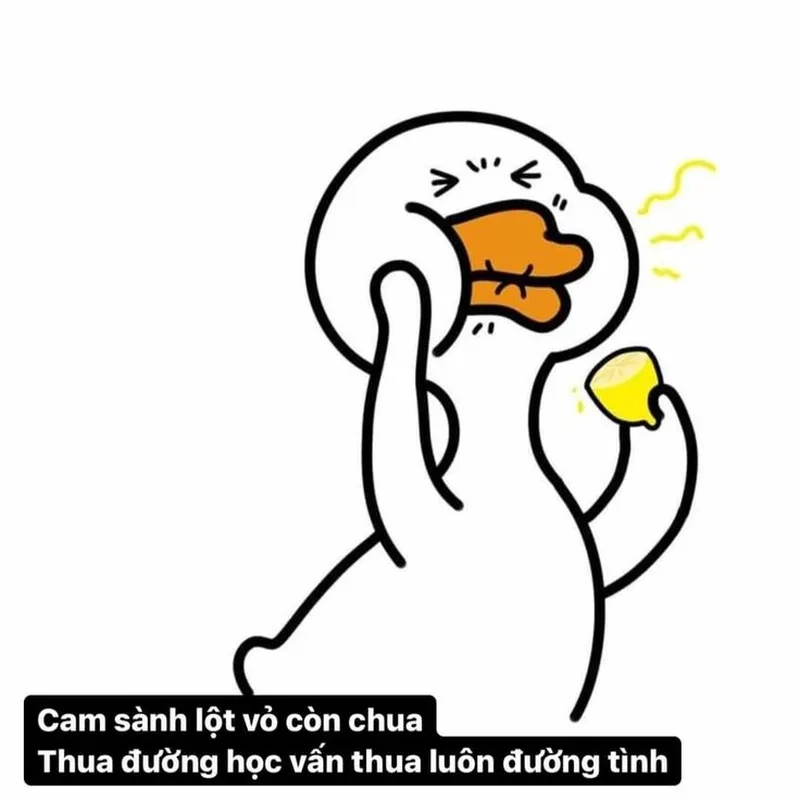 Meme ảnh con vịt cầm dao cực chất, điểm nhấn cho tin nhắn.
