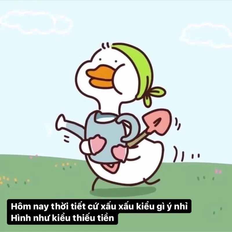 Duck vịt meme gây sốt với những biểu cảm hài khó đỡ.