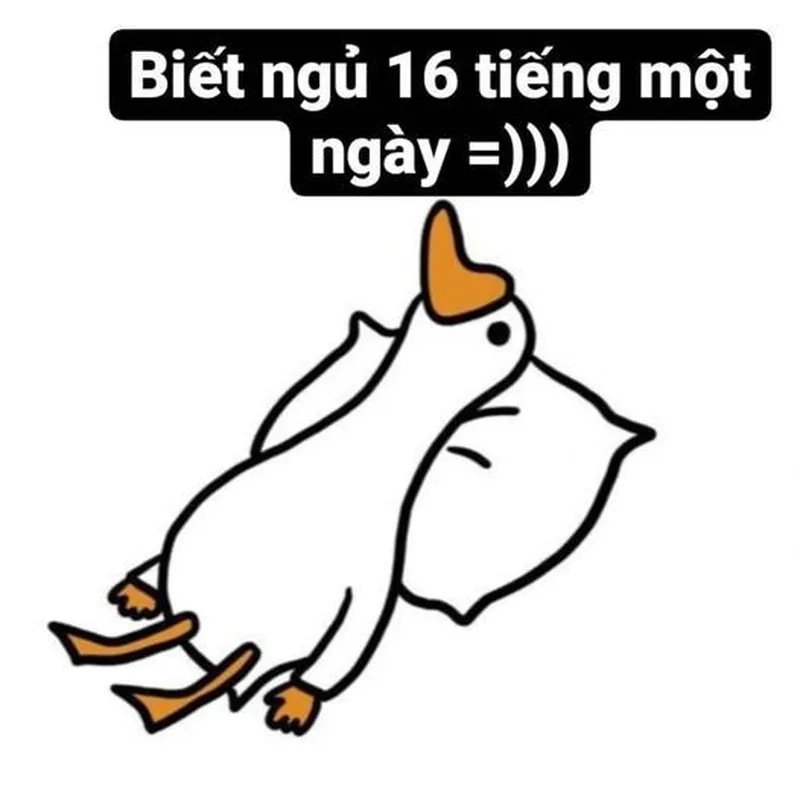 Khám phá meme vịt cute trên Weibo, ngập tràn sự dễ thương.