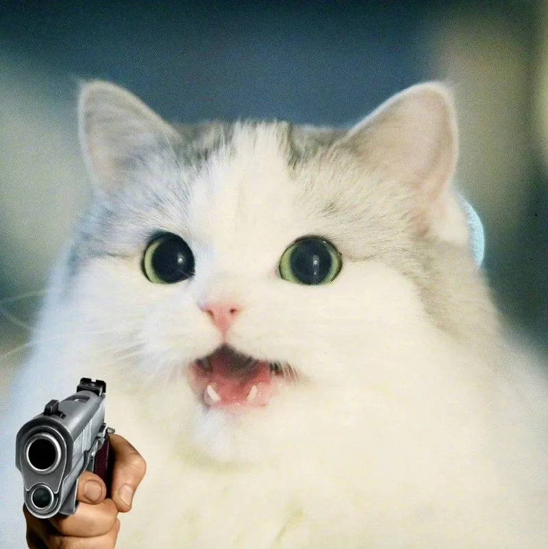 Khám phá meme thả tim cute, nơi tình yêu và sự dễ thương được tôn vinh.
