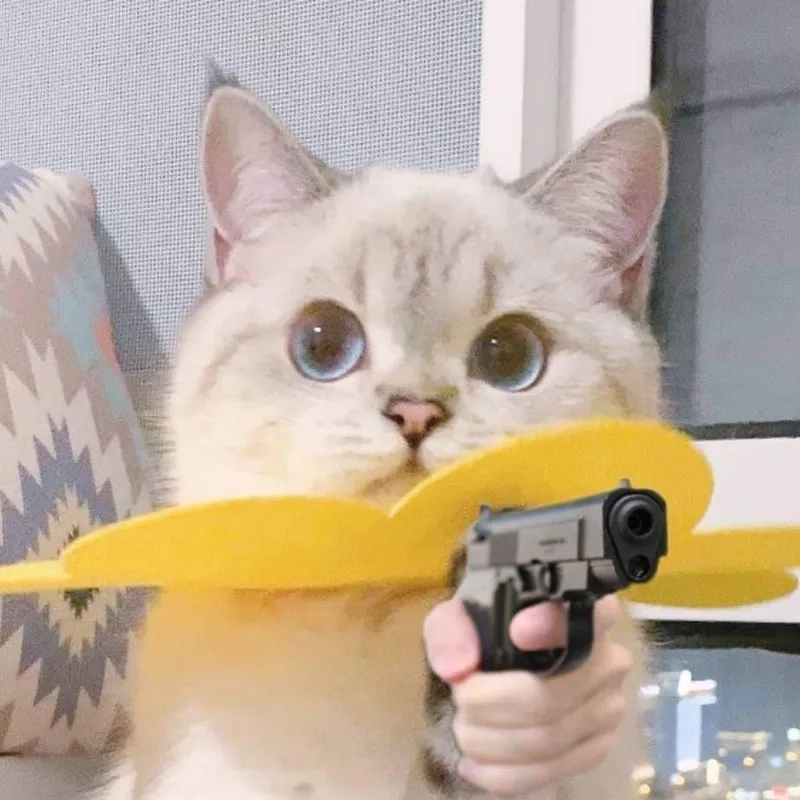 Khám phá những hình meme thả tim độc đáo, làm bừng sáng mọi cuộc trò chuyện của bạn.