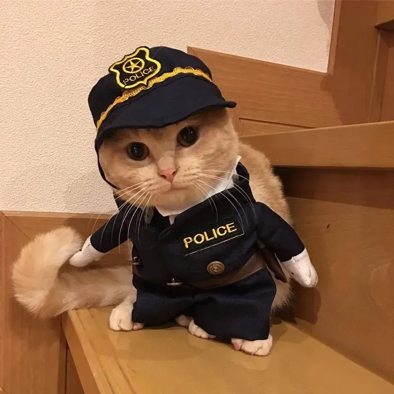 Lá bài meme công an, vũ khí tối thượng để “kết thúc mọi cuộc chơi”.