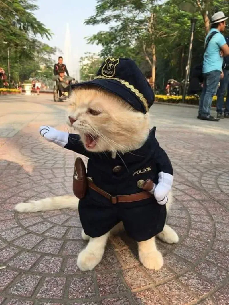 Hình ảnh công an meme là cách để biến những khoảnh khắc nghiêm túc thành niềm vui.