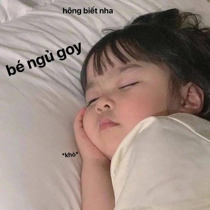 Hài hước và ngộ nghĩnh, meme chúc ngủ ngon hài sẽ làm bạn mỉm cười